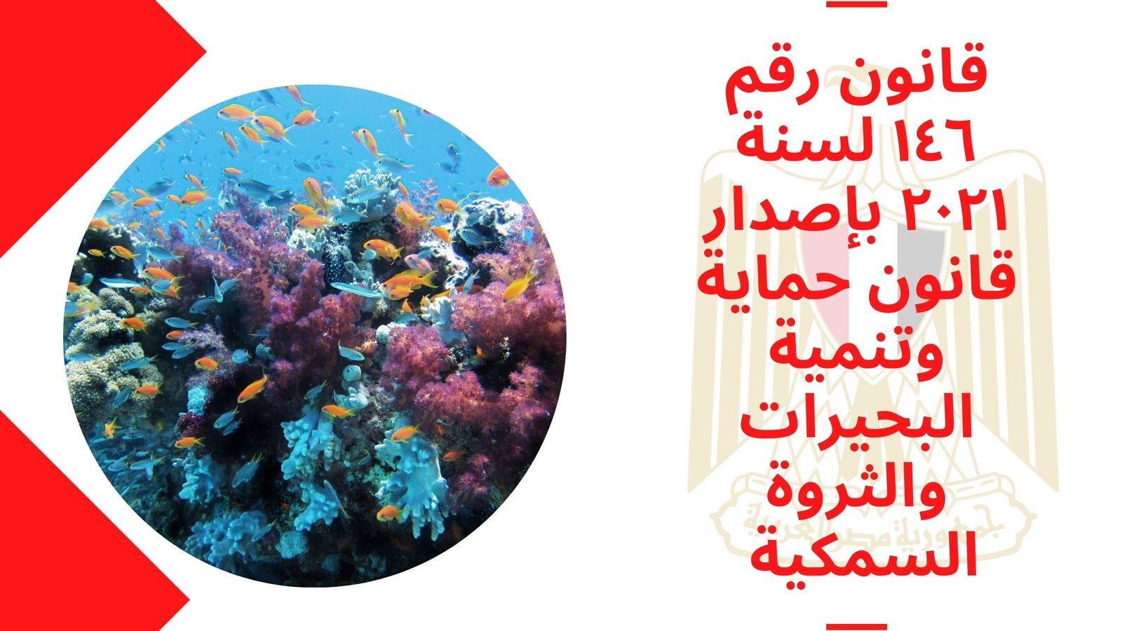 قانون رقم ١٤٦ لسنة ٢٠٢١ بإصدار قانون حماية وتنمية البحيرات والثروة السمكية حتى عام ٢٠٢٢.